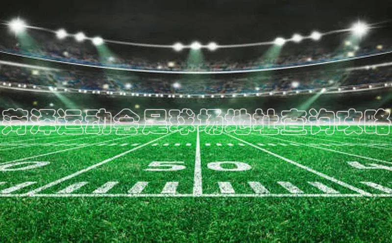 恒盛娱乐官网字节跳动菏泽运动会足球场地址查询攻略