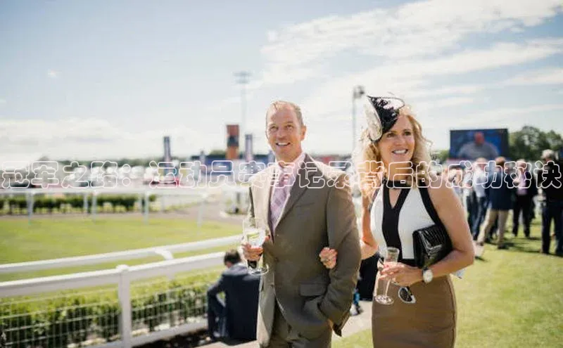 恒盛平台登录入口网站百度大脑冠军之路：运动员赛事记录背后的成功秘诀