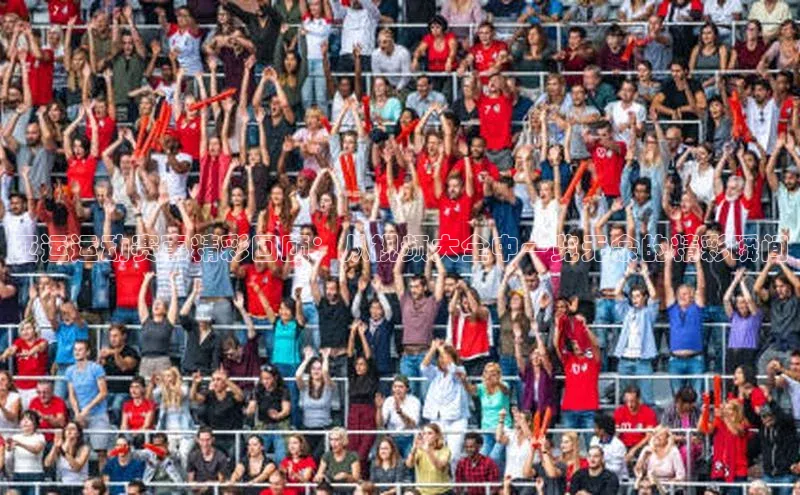 恒盛注册吧登录入口ARGA公司亚运运动赛事精彩回顾：从视频大全中一览无余的精彩瞬间