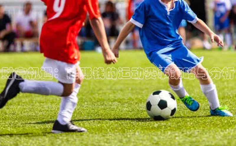 财富机遇：能赚钱的运动赛事策略与分析