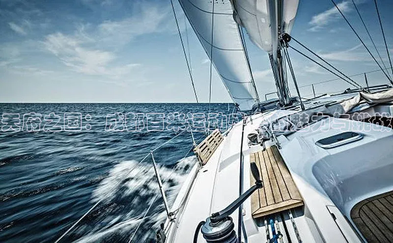 天府之国：成都百米运动盛会的魅力与挑战