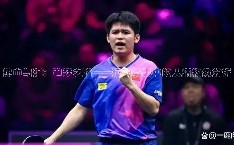 热血与泪：追梦之路——运动赛事中的人情物象分析