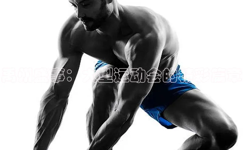 禹州盛事：大型运动会的精彩篇章