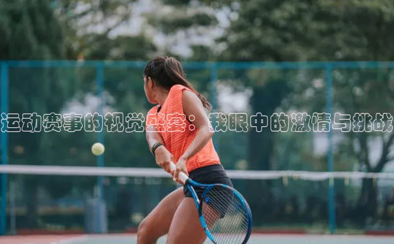 运动赛事的视觉盛宴：我眼中的激情与挑战