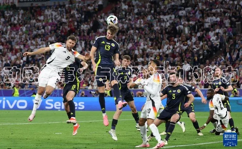 动感赛事：与体验运动的魅力