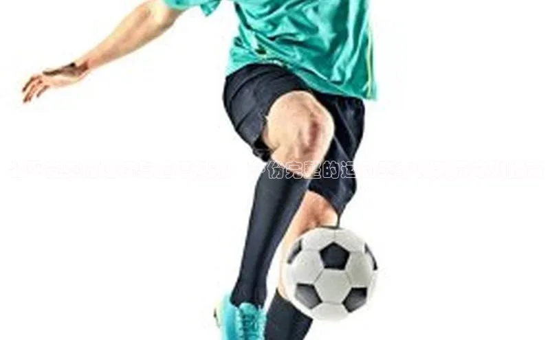 公平竞赛的法律与道德规范：一份完整的运动赛事裁判员守则指南