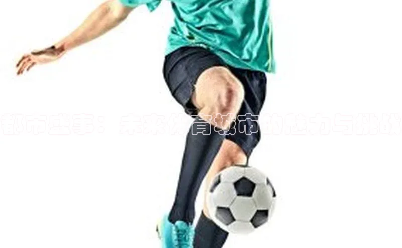 都市盛事：未来体育城市的魅力与挑战