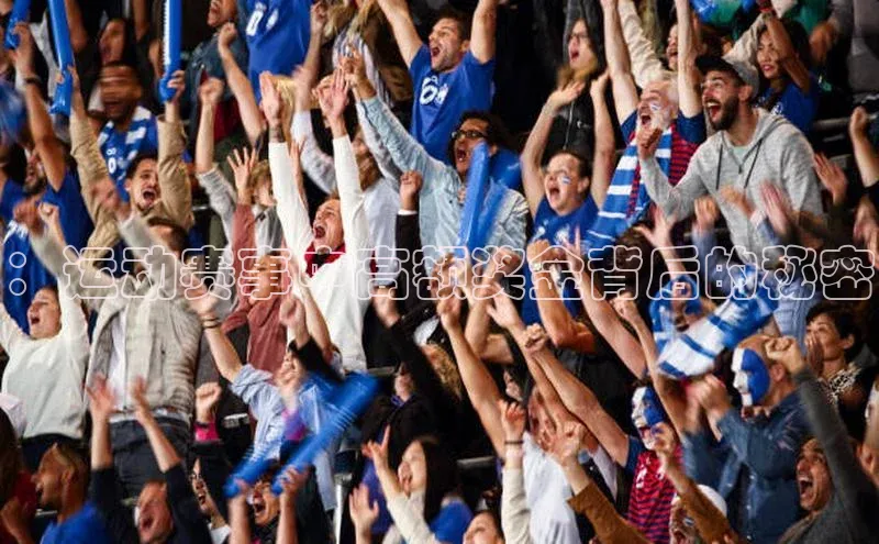 恒盛平台登录入口网页版