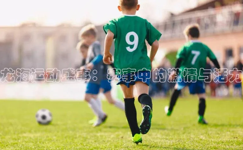 龙海运动盛事：赛事中的激情与活力